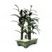 Artificial Jade Bamboo Forest Sculpture for your Home Decoration CP2017-NHJ502