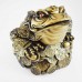 Big Size Brass Wealthy Money Frog On Treasure (Wealth And Good Fortune)  YC-BIGFG01