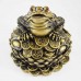 Medium Size Brass Wealthy Money Frog Sitting On Lotus Flower Base On Treasure (Attract Wealth And Good Fortune)  YC-MEDFG02