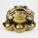 Small Size Brass Money Frog On Ingots  Attracts Wealth and Luck YC-SMFG01