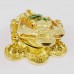 Hand painted 3 Legged Bejeweled Wish Fulfilling Money Frog Figurine on Coins Trinket Box Shiny Gold with Green Pearls on Back Prosperity Symbol YHX-GDF03