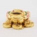 Feng Shuai Small Gold Color Money Frog on Treasure Toad YXL-S1008