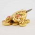 Feng Shuai Small Gold Color Money Frog on Treasure Toad YXL-S1008