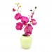 Asian Art Hand Crafted Bowl Shape Pistachio Green Flower Vase  -  GY6V-03