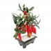Hot Pepper Artificial Jade Plant Tree Bonsai Stone Gemstone Leaves Red Chilli Vegetables - CP2017-NHJ2