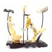 Artificial Jade Sea Life Figurines Shrimps & Fish With Sea Horns And Lotus Leaves Dragon Fly On Wooden Platform Medium - NS-JADESEACR14