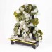 Beautiful Vintage Chinese Jade Grape Vine Bonsai Tree, The Grapes are White Jade YJH-GRPS01
