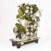 Beautiful Vintage Chinese Jade Grape Vine Bonsai Tree, The Grapes are White Jade YJH-GRPS01