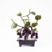 Beautiful Vintage Chinese Jade Grape Vine Bonsai Tree YJH-GRPS06